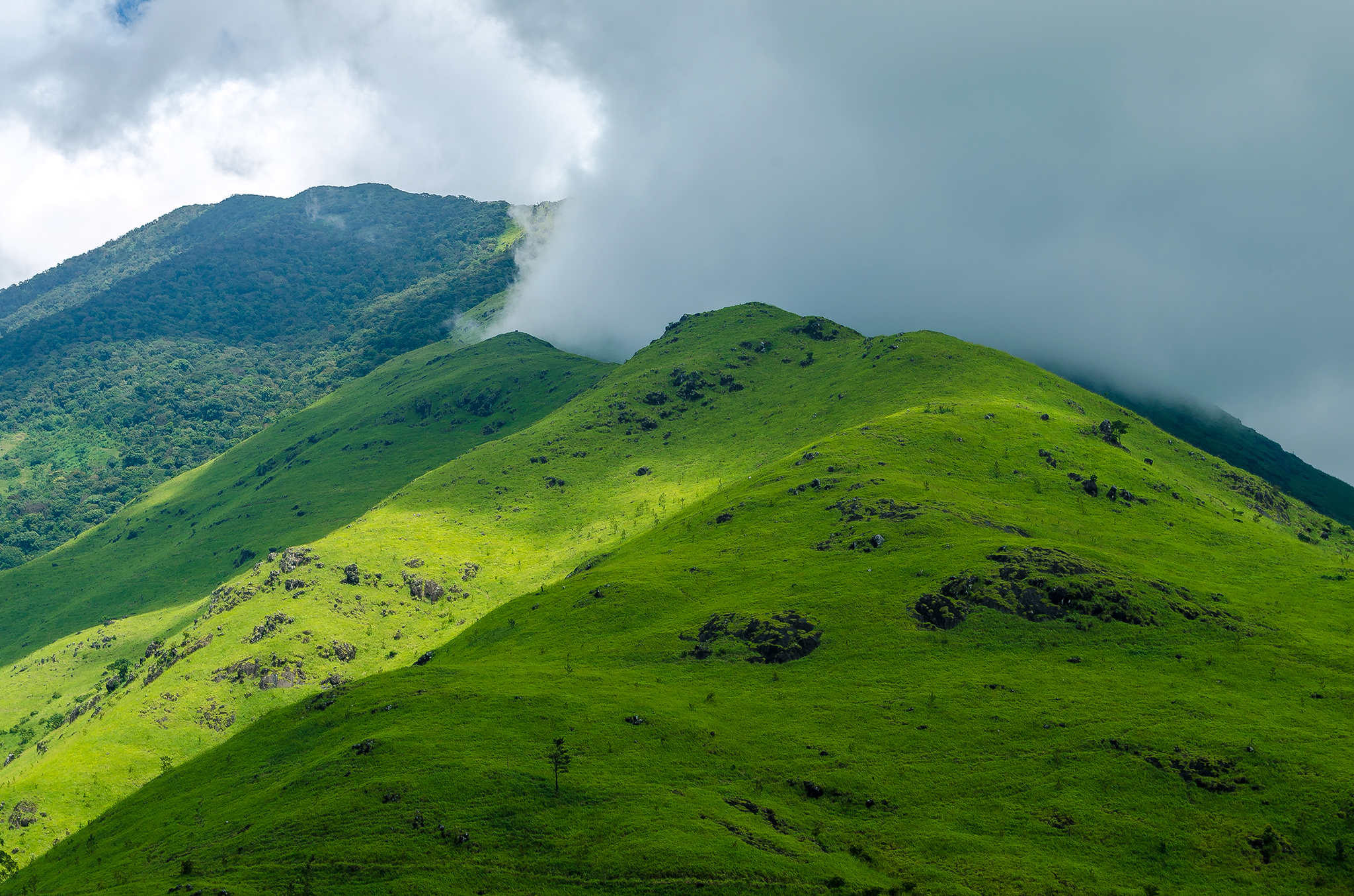 Wayanad Hills