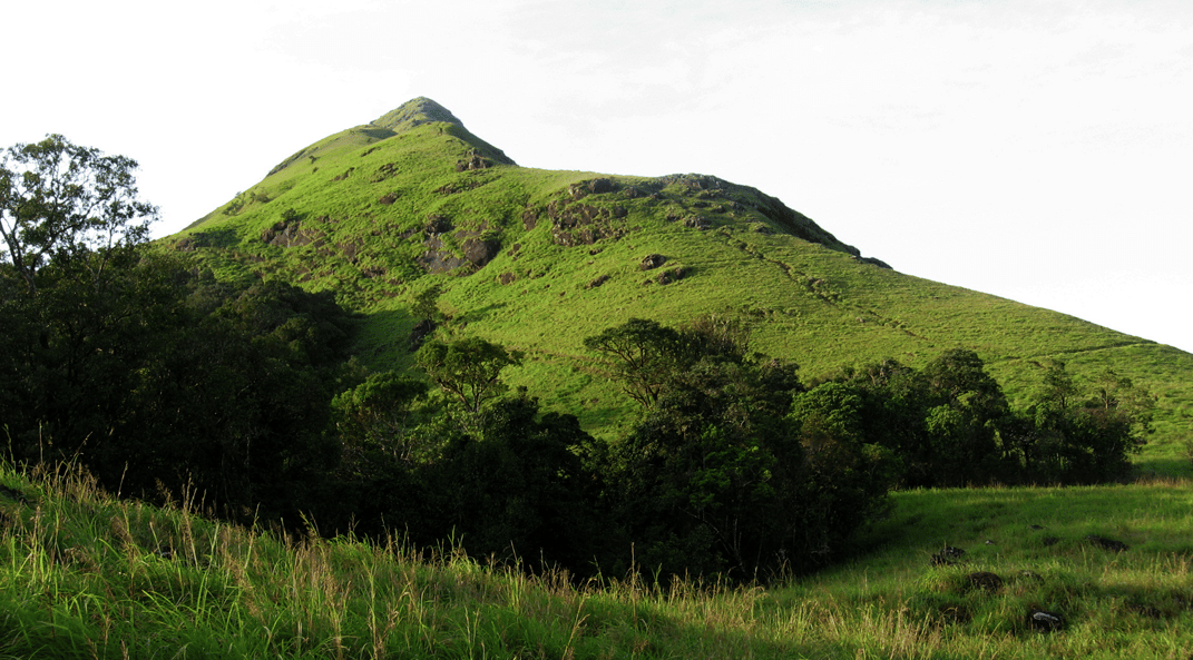 Chembra Peak in wayanad