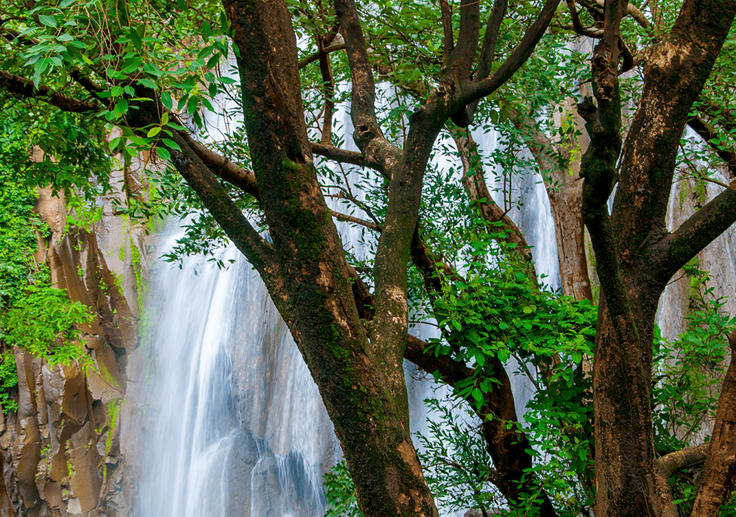 Chethalayam Waterfalls in Wayanad