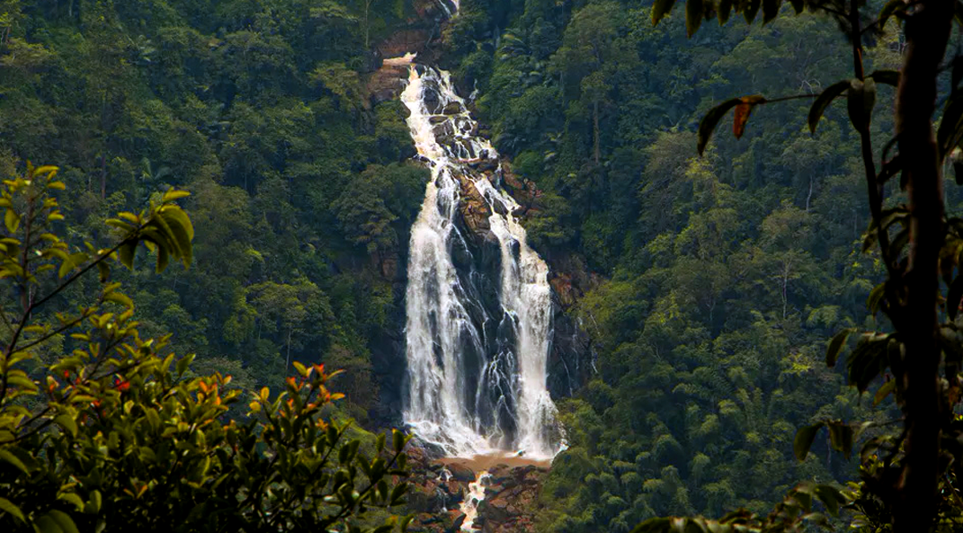 Menmutty Waterfalls at Wayanad