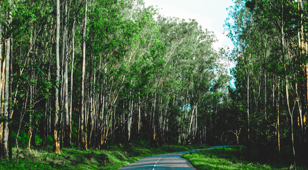 Roads of Wayanad