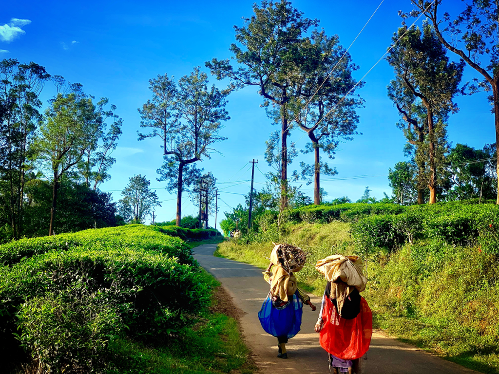 Exploring Wayanad’s Caves - Petrichor