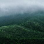 Monsoon in the mountains of wayanad