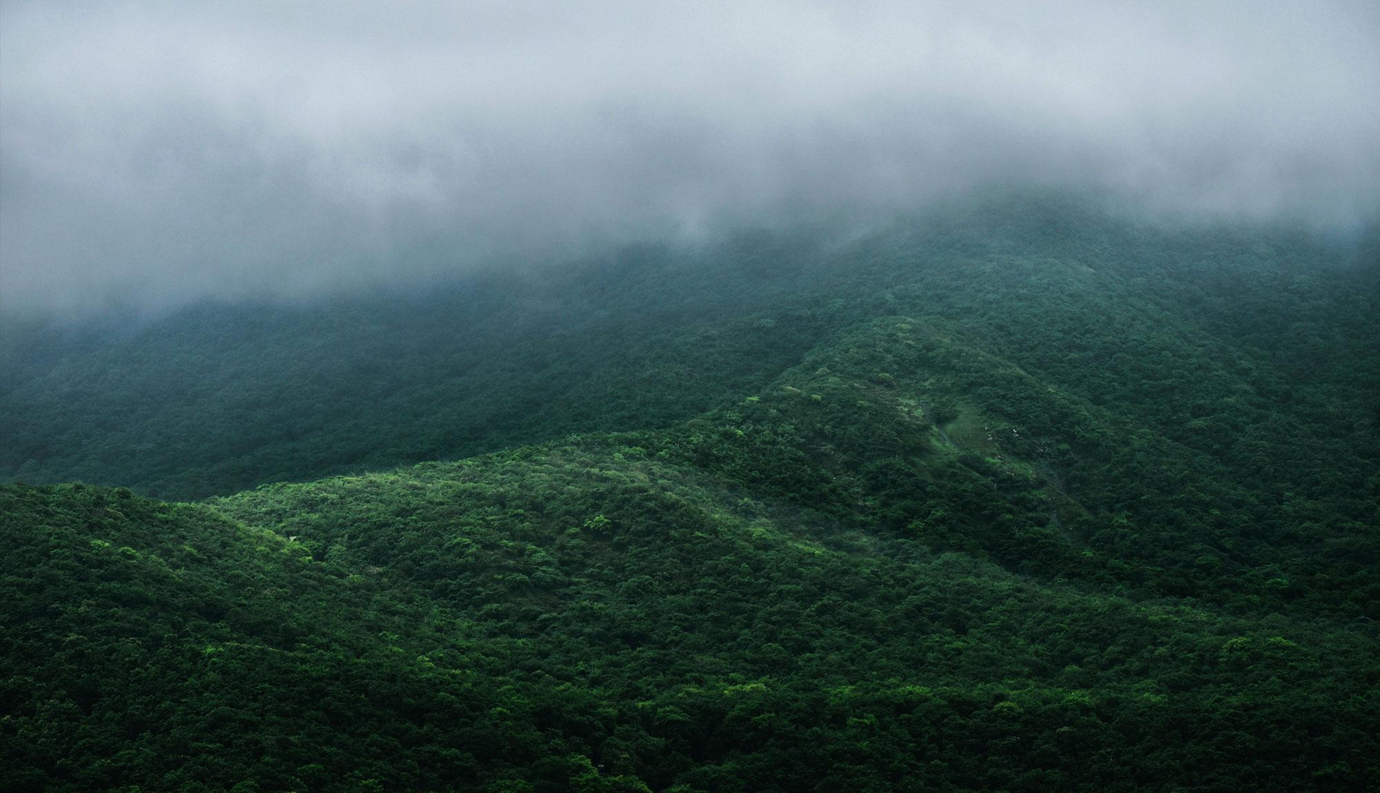 Monsoon in the mountains of wayanad