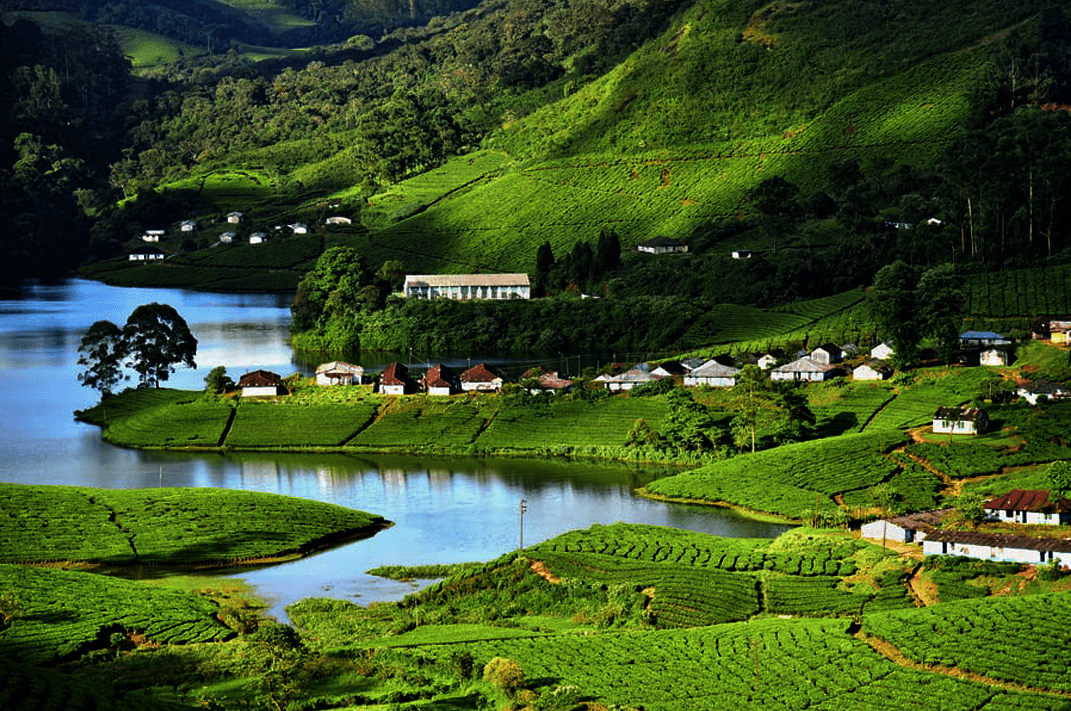 Mountains of Munnar in Kerala