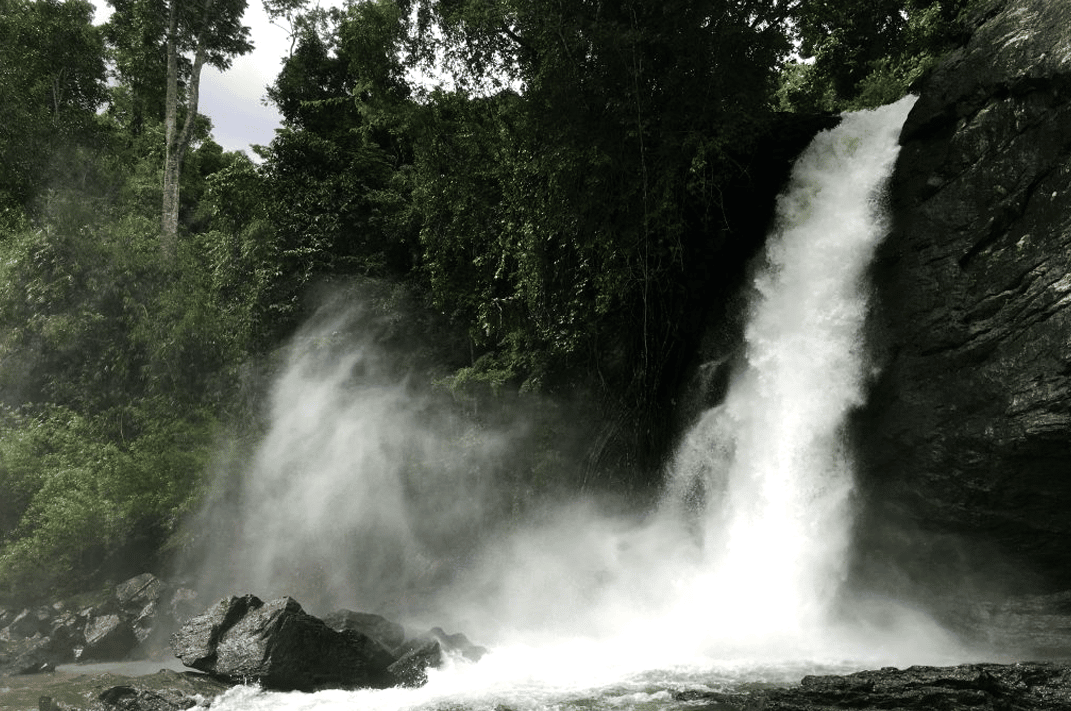 best waterfalls in wayanad