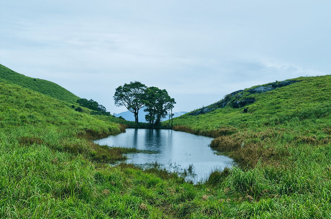 Chembra Peak Trekking in Wayanad