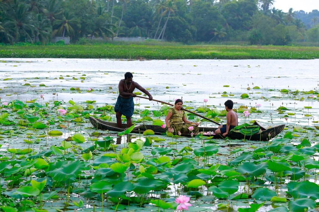 to-do list for wayanad kerala