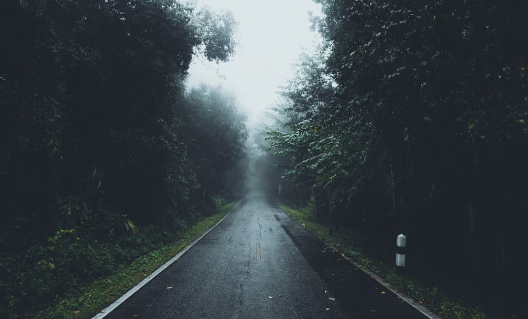 Monsoon Season in Wayanad