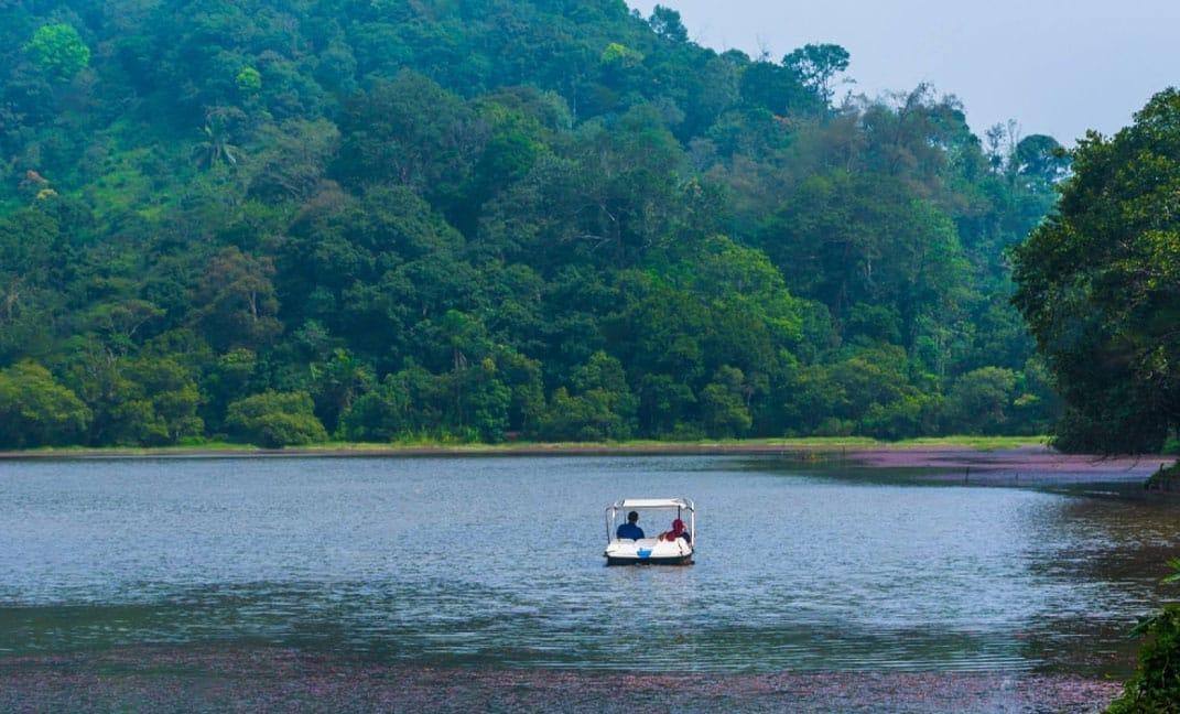 Wayanad - A Perfect Honeymoon Gateway