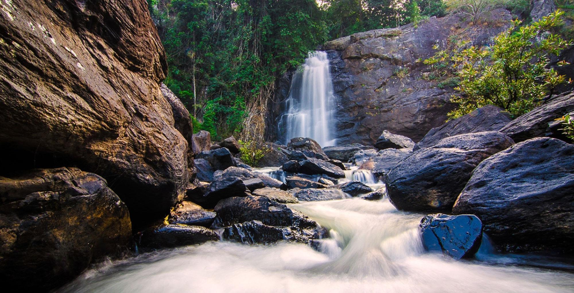 https://aftertherains.in/blog/wp-content/uploads/2023/01/waterfalls-in-Wayanad-1.jpg?utm_source=chatgpt.com