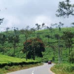 Chennai to Wayanad Travel Guide