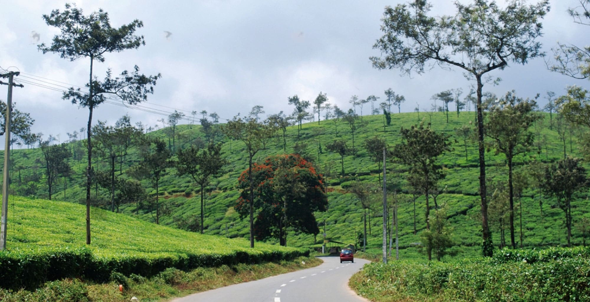 Chennai to Wayanad Travel Guide