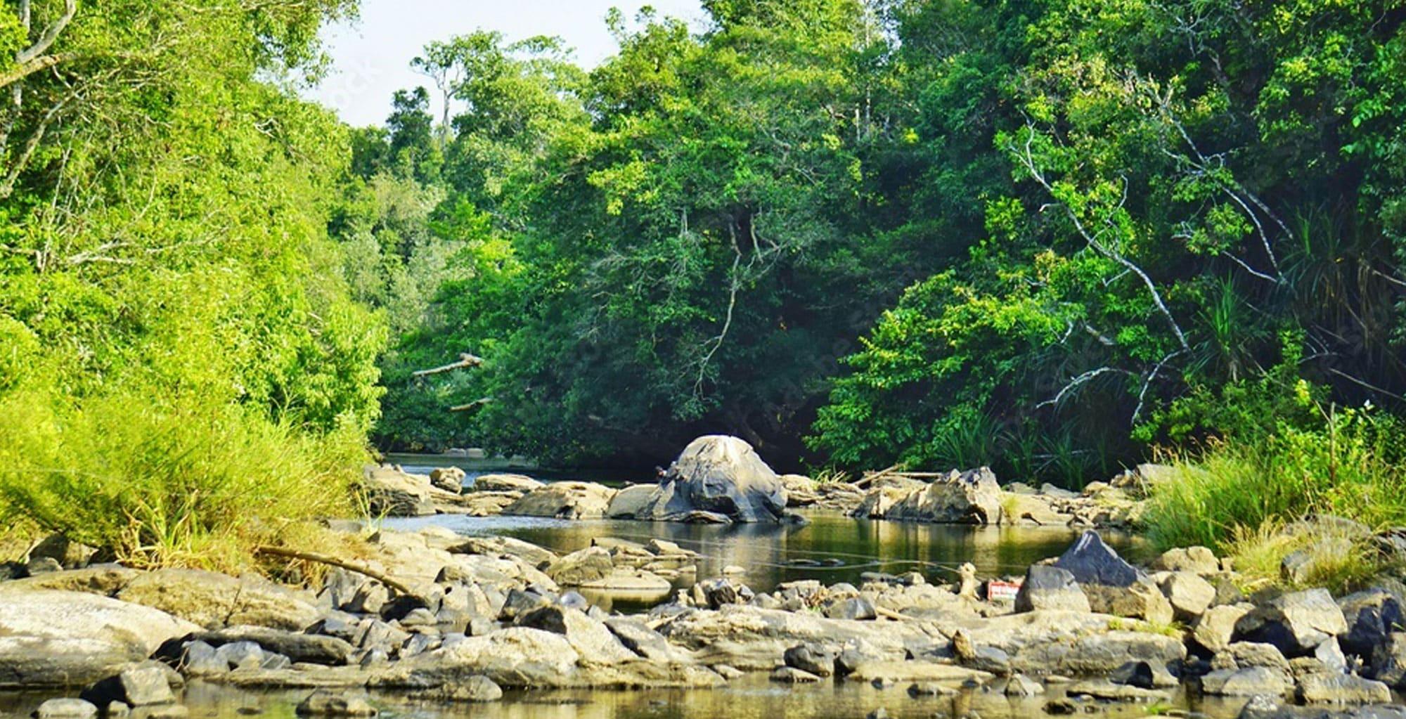 Interesting Facts about Wayanad - Petrichor