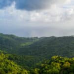 View of the mountains from the Rainforest Lodge - After the rains