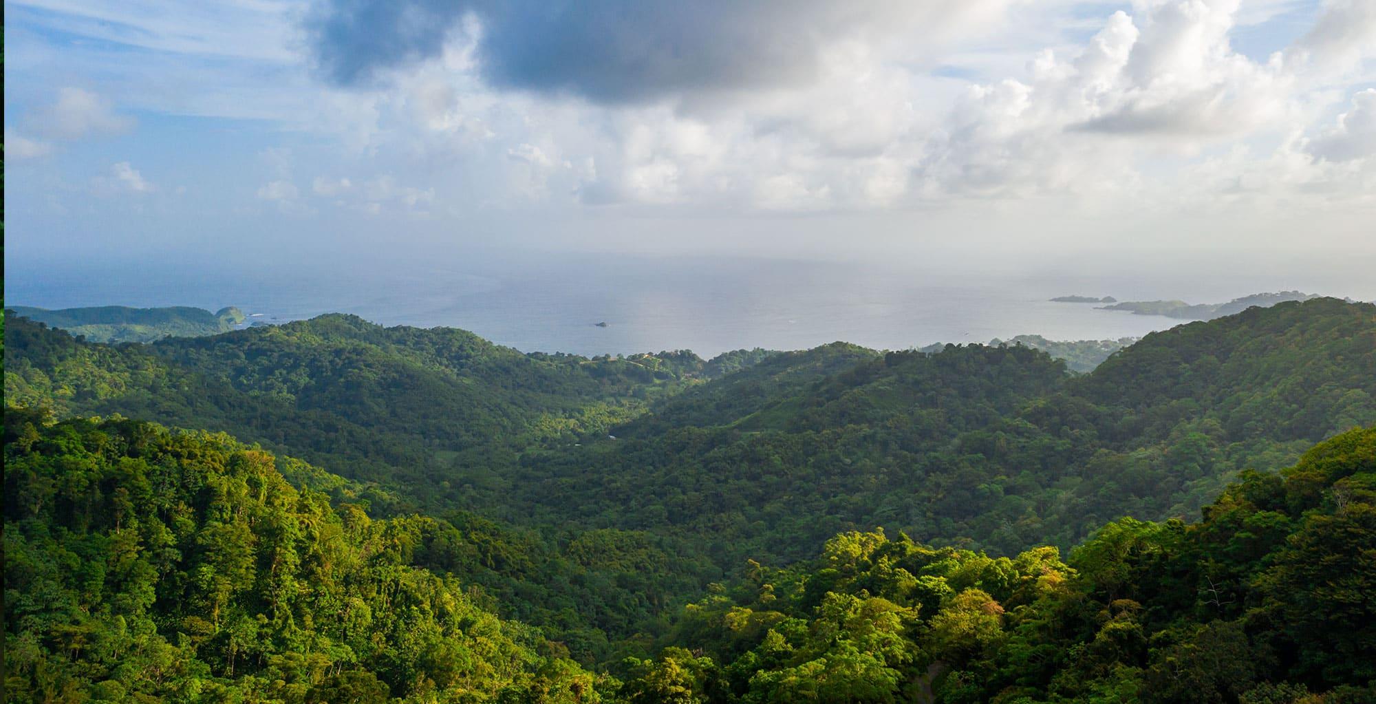 View of the mountains from the Rainforest Lodge - After the rains