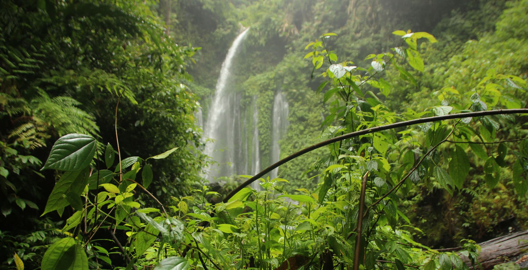 Where-Luxury-Meets-Nature-in-Wayanad