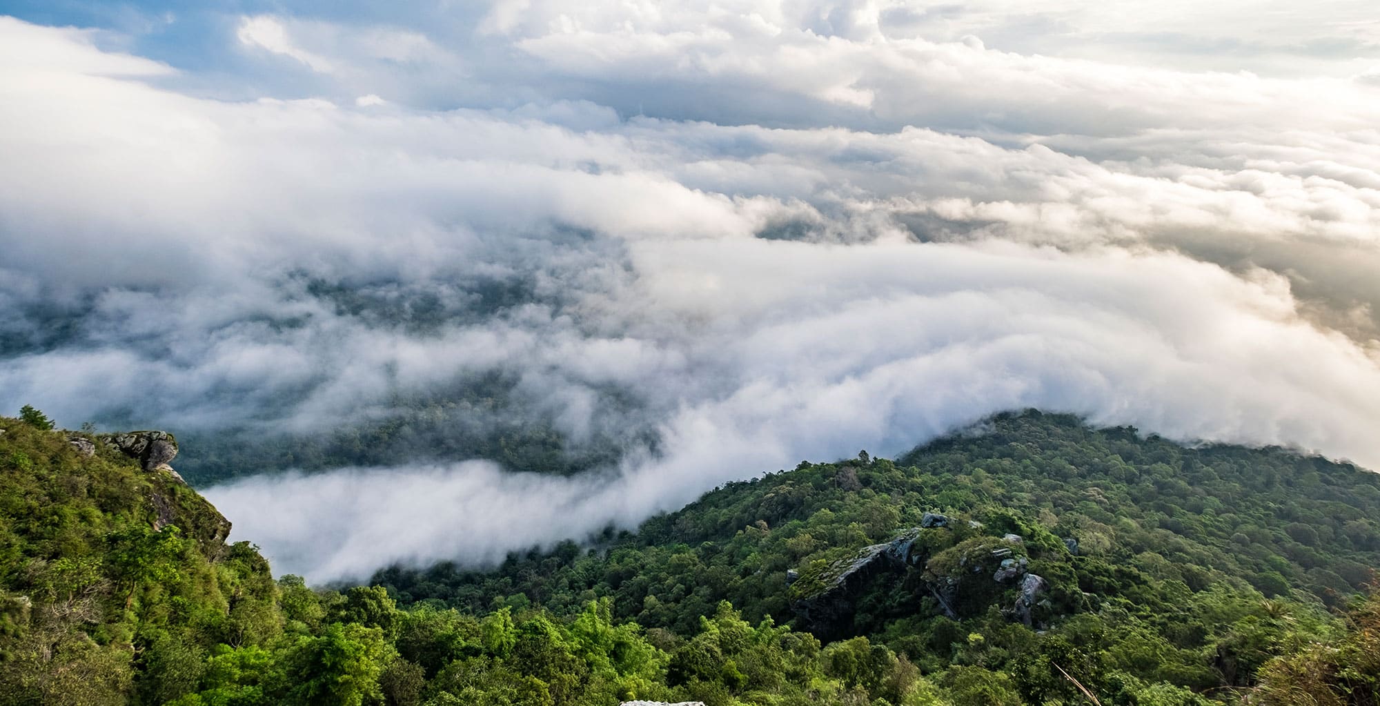 Experiencing Wayanad's Warmth in Winter