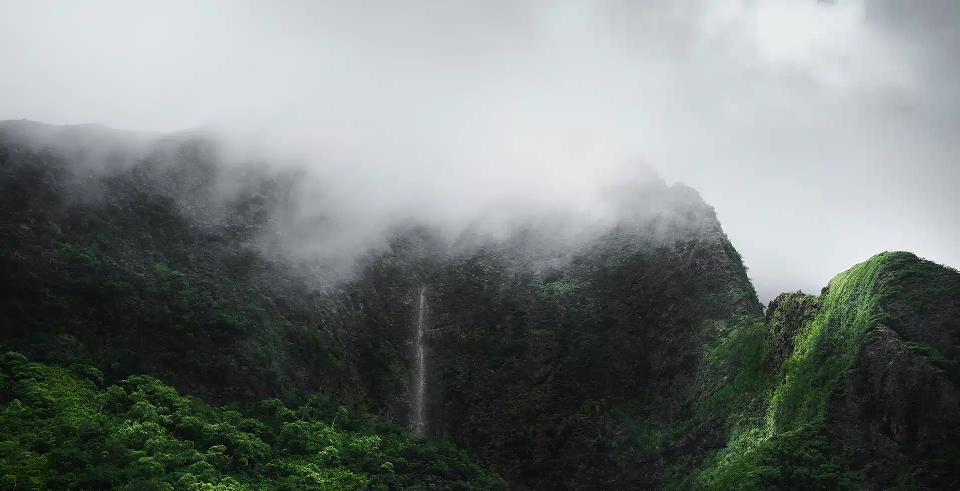 Wayanad weather in July