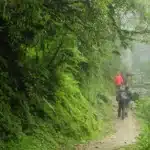 7 Monsoon Treks in Wayanad