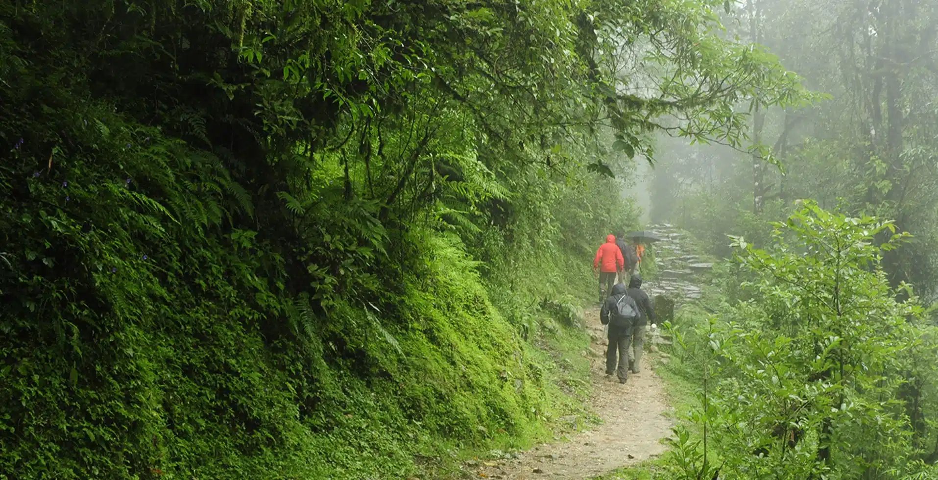 7 Monsoon Treks in Wayanad