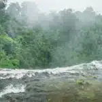 Monsoon Romance in Wayanad