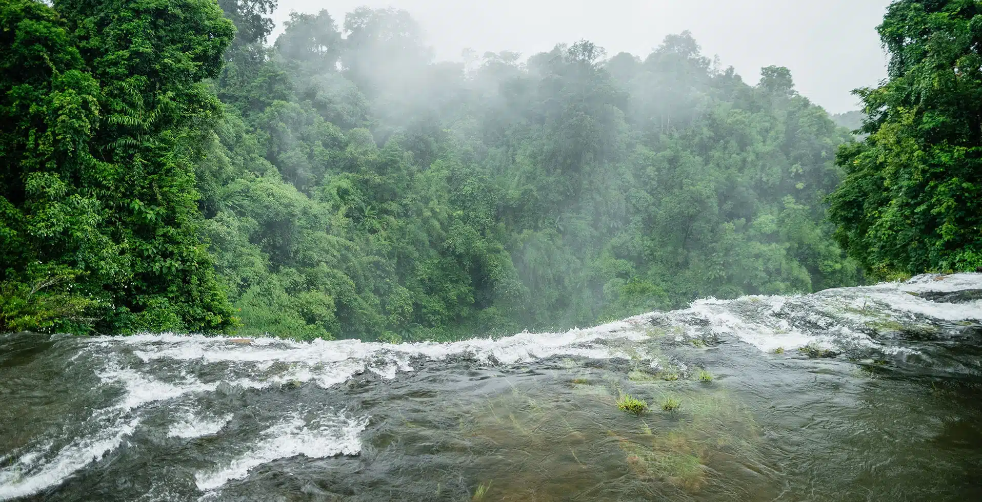 Monsoon Romance in Wayanad