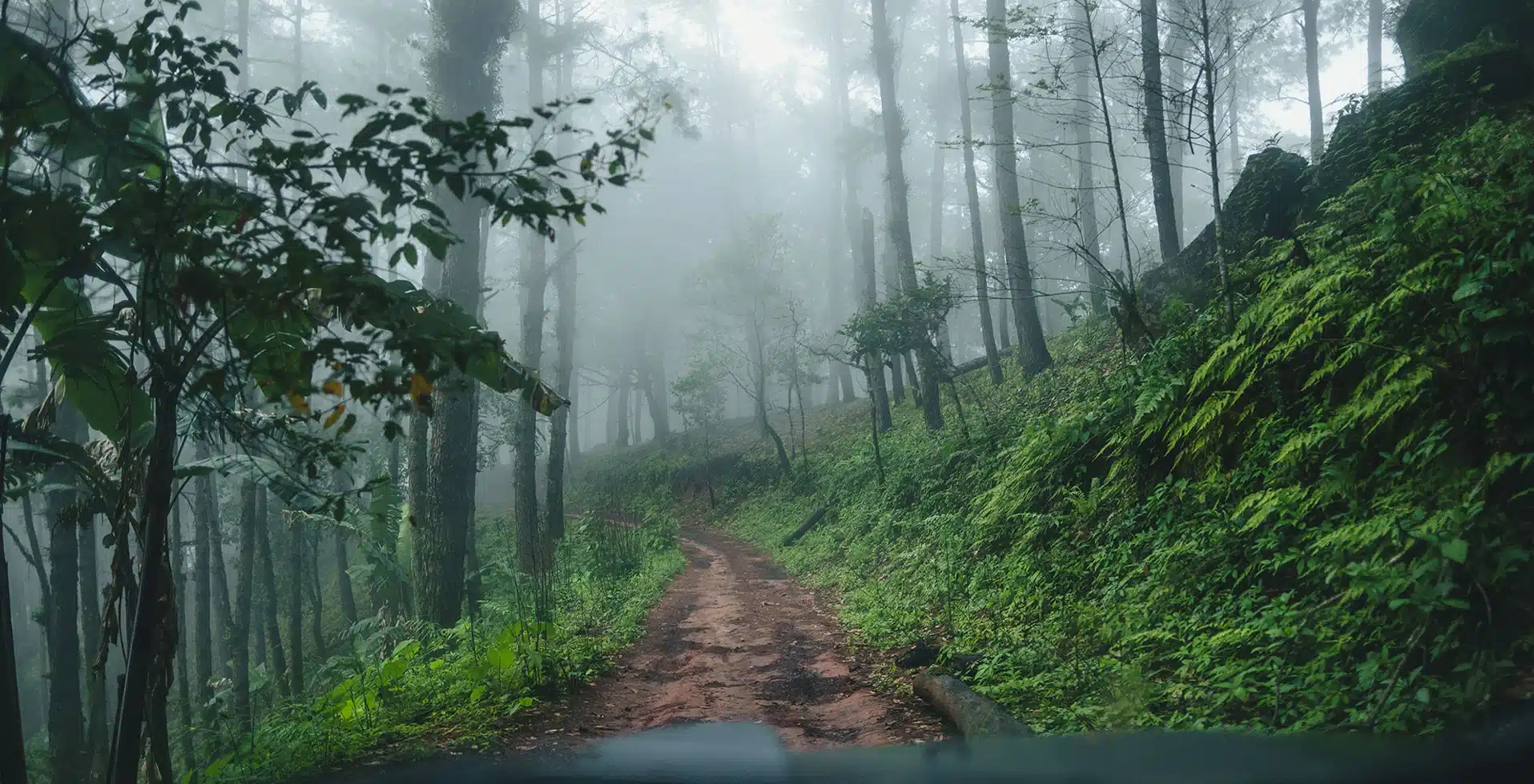 Experience Wayanad Autumn Weather in October