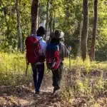 Top 5 activities for couples in wayanad