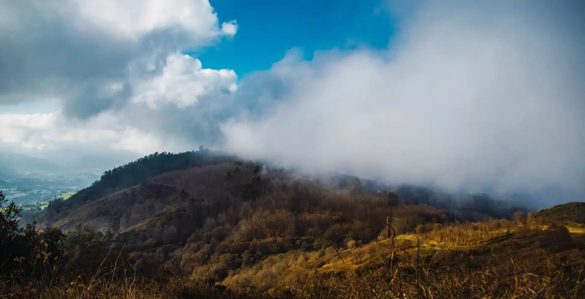 Nature and adventure in Wayanad