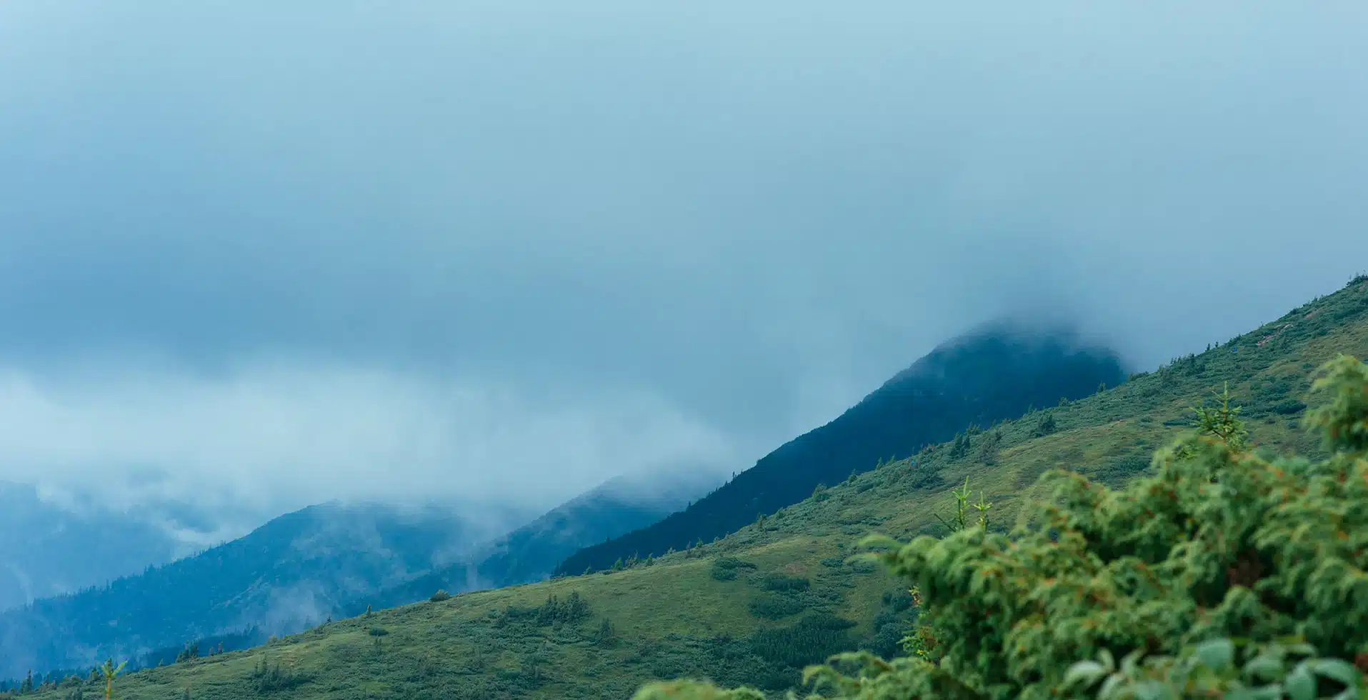 Winter in Wayanad