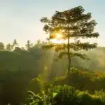 Bengaluru to Wayanad and Kozhikode