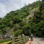 Wayanad in May