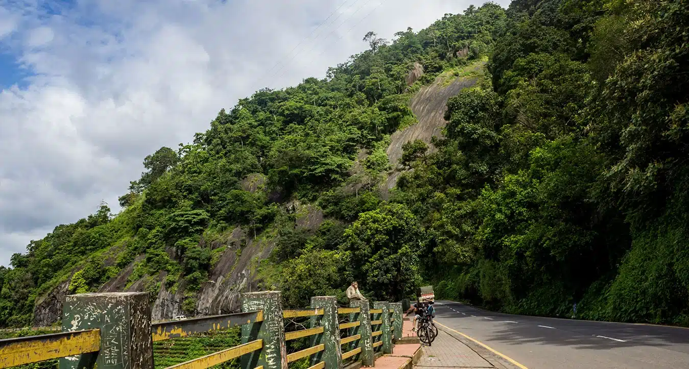 Wayanad in May