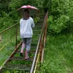 Wayanad monsoon guide