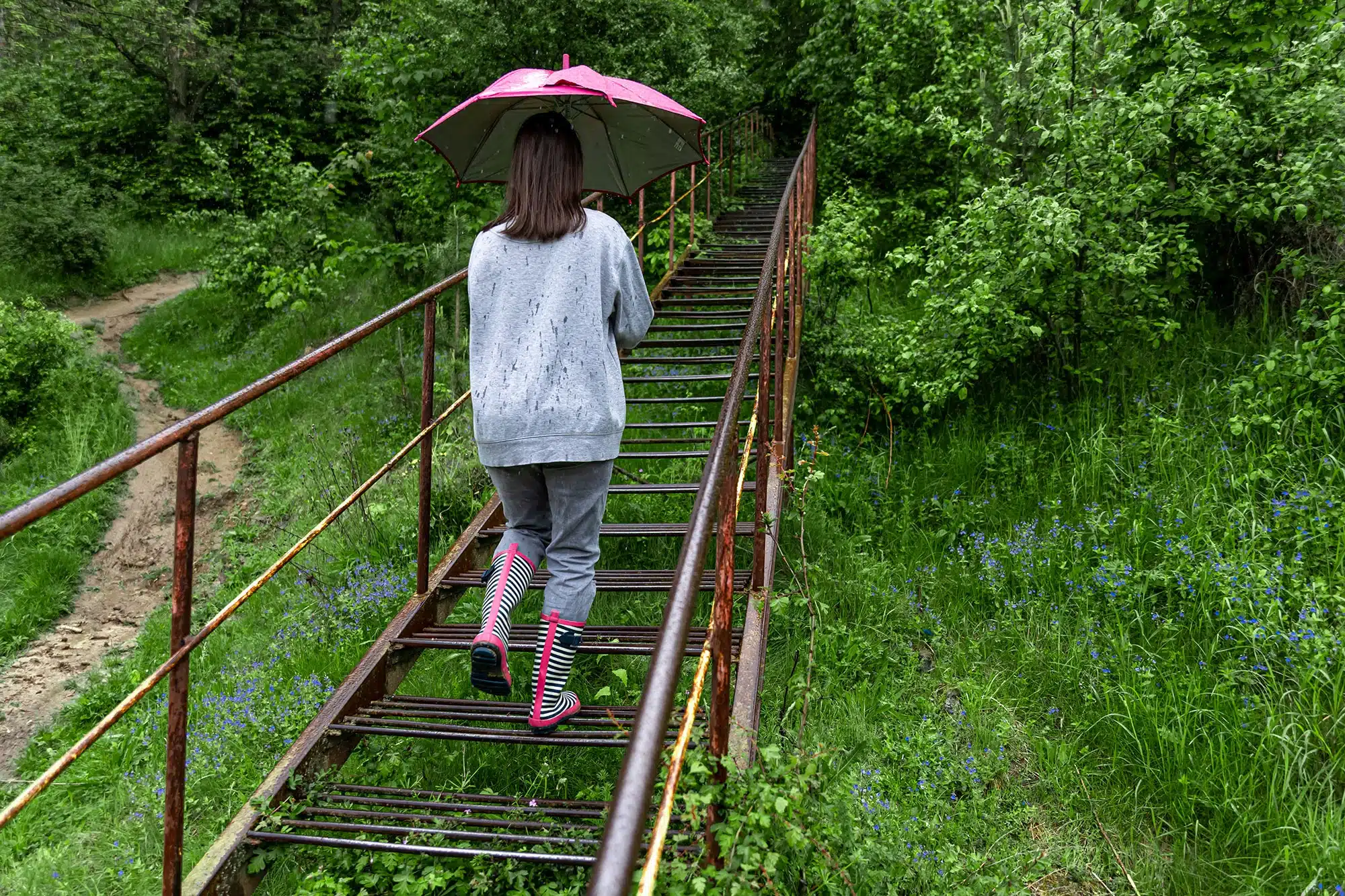 Wayanad monsoon guide