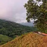 nature-in-wayanad