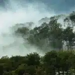 Beat the Holiday Rush