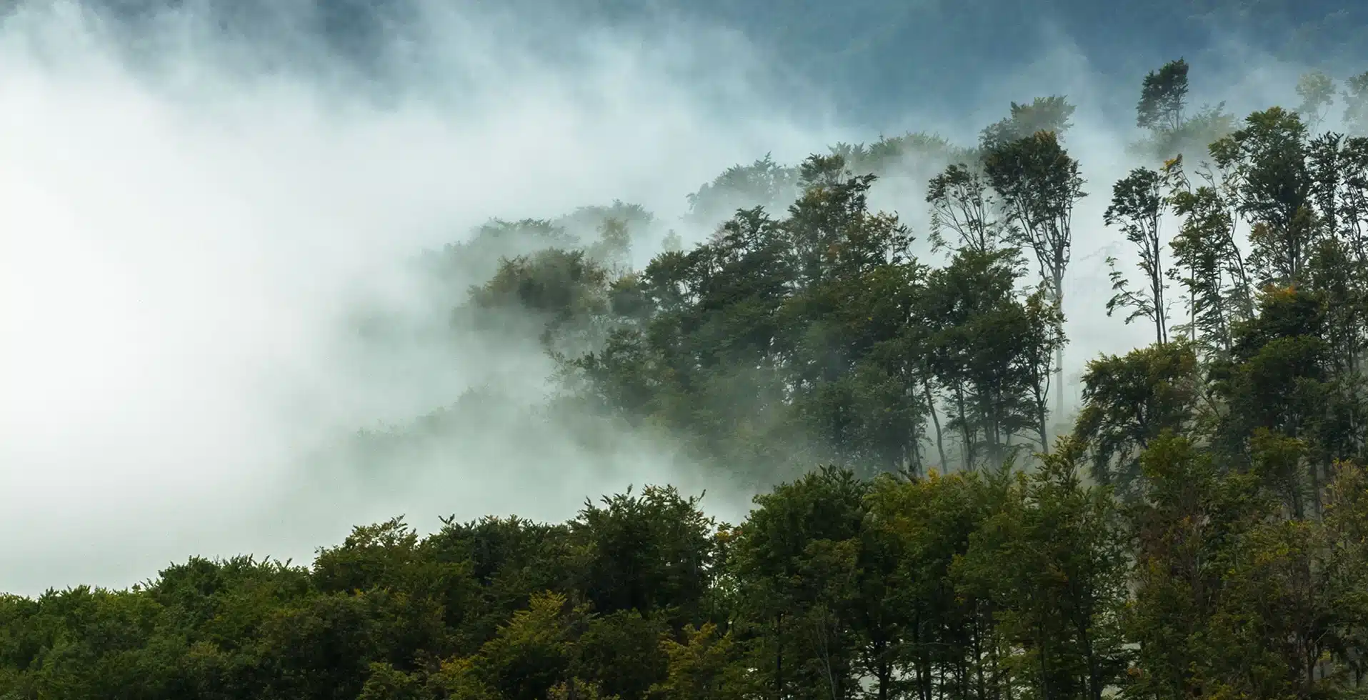 Beat the Holiday Rush