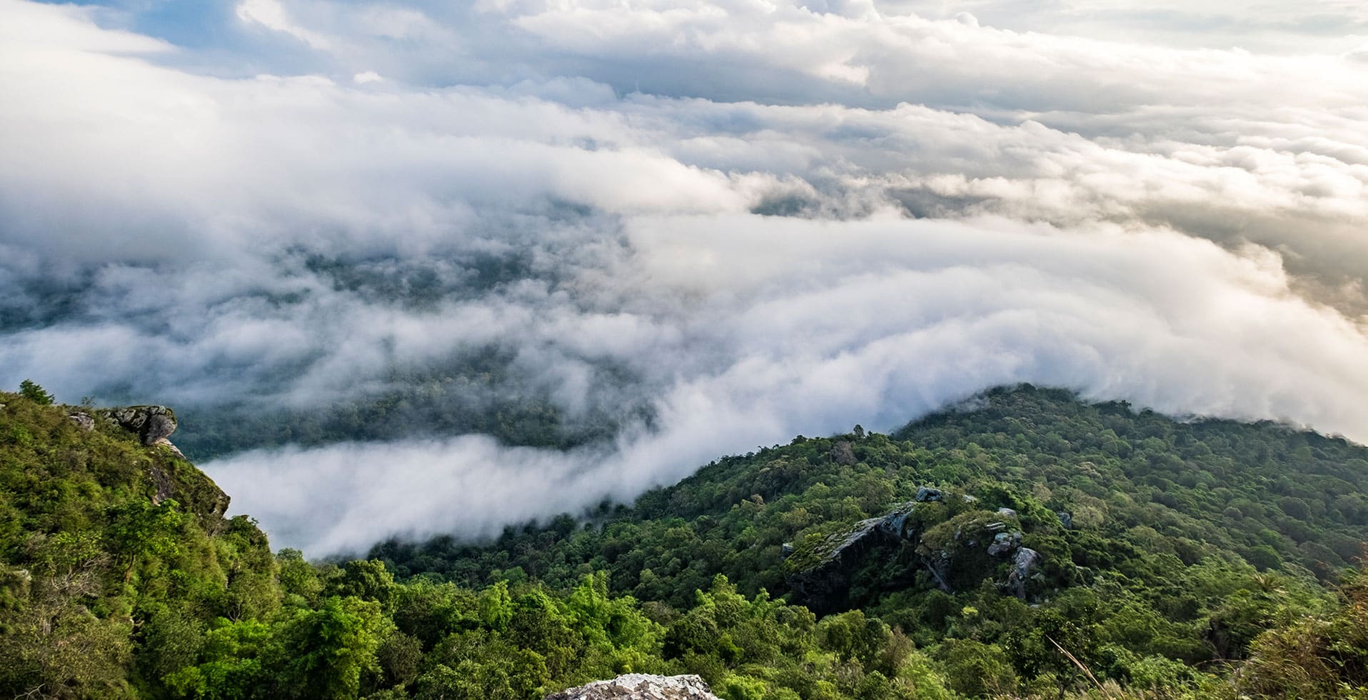 Winter Romance in the Western Ghats