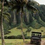 Quiet Wayanad escape