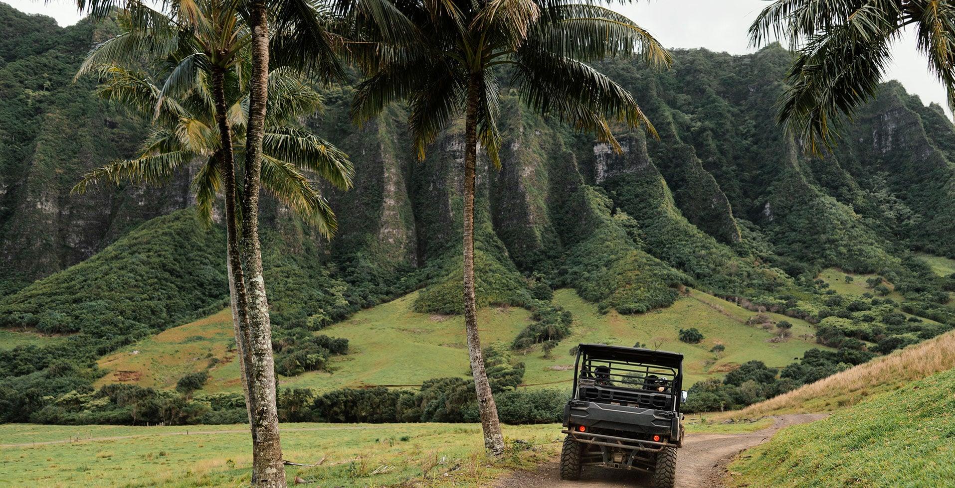 Quiet Wayanad escape