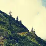 Peaceful and Pocket-Wise