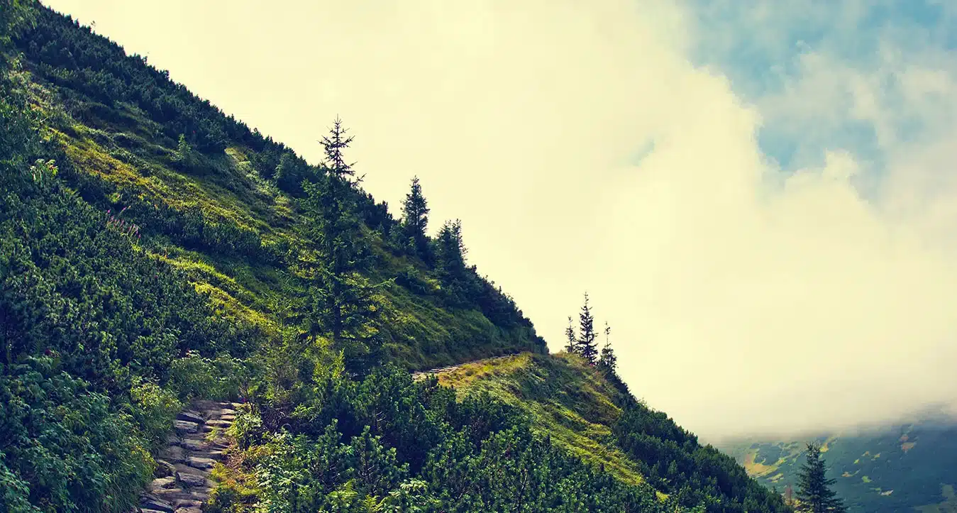 Peaceful and Pocket-Wise