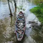 Monsoon Is the Best Time to Visit Wayanad