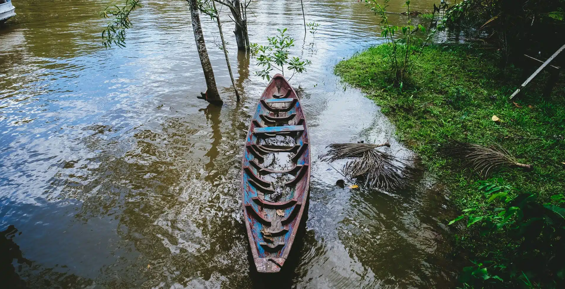 Monsoon Is the Best Time to Visit Wayanad