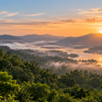 Luxury Resorts in Wayanad: Make the Stay the Destination