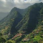 Wayanad Vs Coorg
