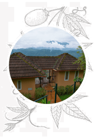 Accommodation in Wayanad | Luxury Accommodation in Wayanad