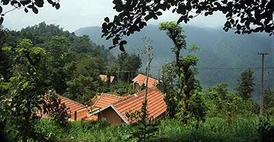 Village Resort in Wayanad | Wayanad Honeymoon Resort